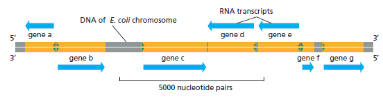 Figure 6-13.png